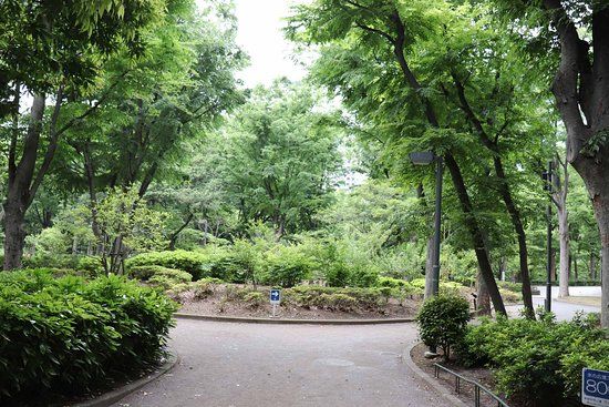 Shinjuku Central Parkı